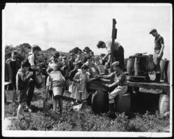 BERRY PICKERS