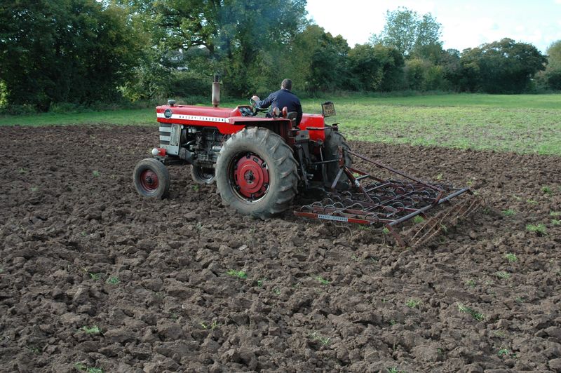 5 MF 1100 with MF 37 with 35 11ft 4 ins flexible spring tines with a crumbler roller