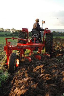 8 MF 175 with MF 86 4-furrow semi-mounted plough