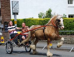 Cob in the town centre