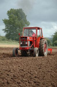 MF 185 with MF 24 chisel plough