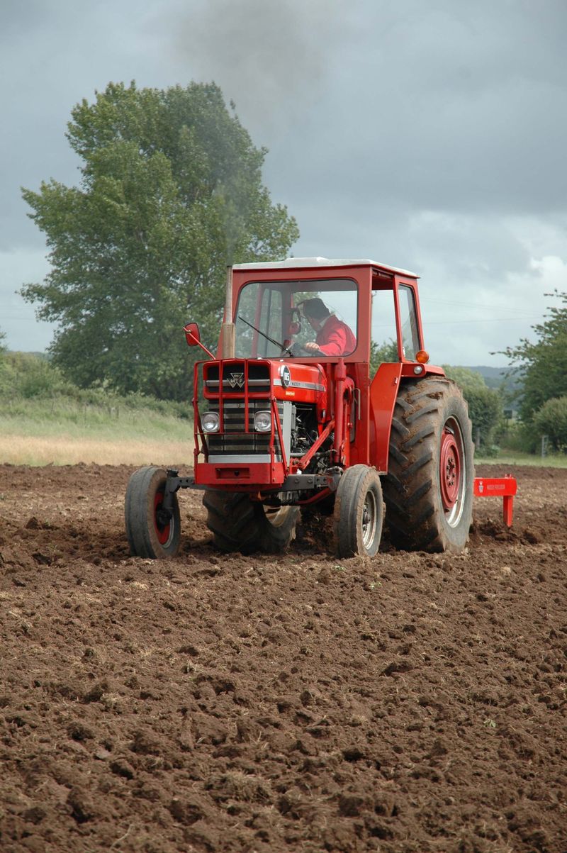 MF 185 with MF 24 chisel plough