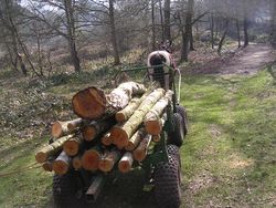 Eight-wheel timber forwarder.jpg