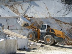 Liebherr 586