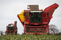 Grimme Maxtron 620 & Rexor 620