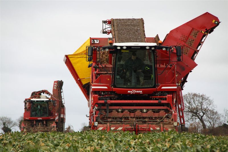 Grimme Maxtron 620 & Rexor 620