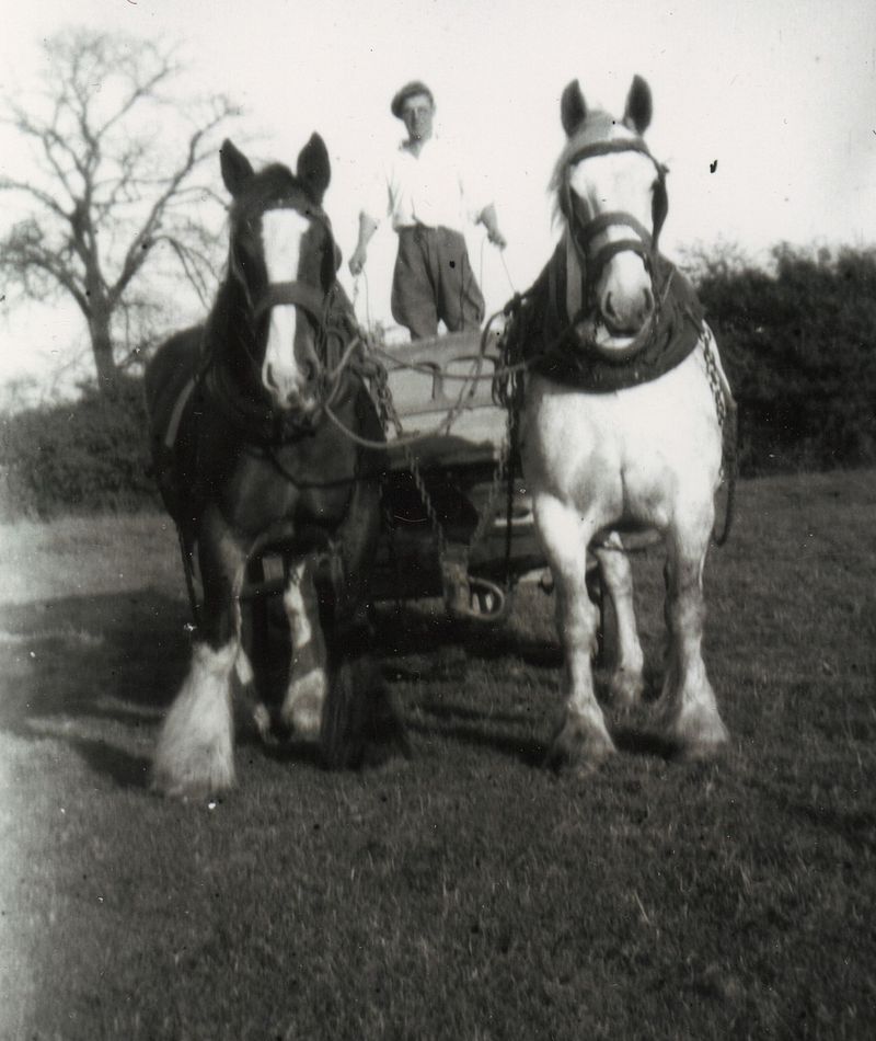 Ron Creasey leading muck in a wagon