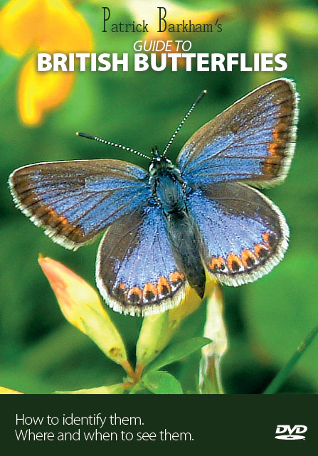Patrick Barkham's Guide to British Butterflies cover
