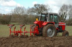 MF 698 & 265 3-furrow reversible plough