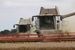 Claas Lexion 760 and 570+ combining wheat
