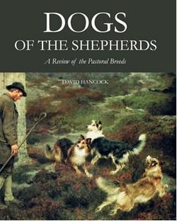 Dogs_of_the_shepherd