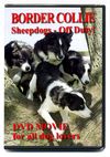 Border_collie_sheepdogs_off_duty