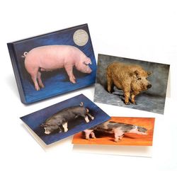 Xl-beautiful-pigs-notecards-1-pigs-notecards-packshot-976x976