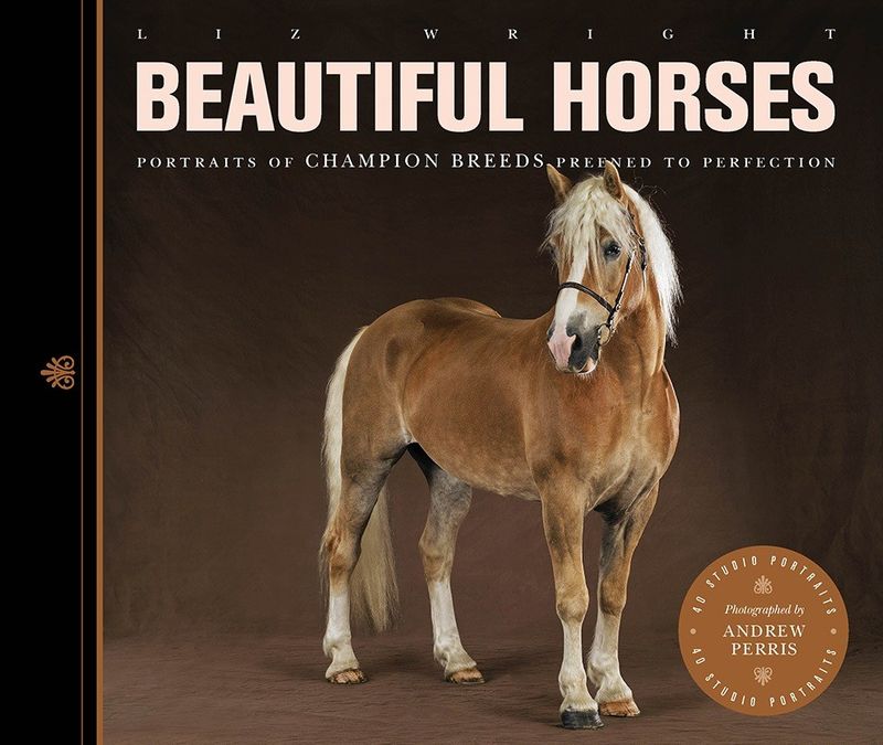 Beautiful-horses-1-9781782400424-976x976