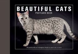 Xl-beautiful-cats-postcard-book-1-i-pobc_postcatscvr-976x976