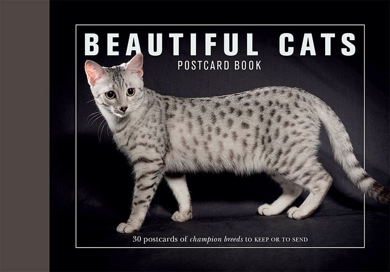 Xl-beautiful-cats-postcard-book-1-i-pobc_postcatscvr-976x976